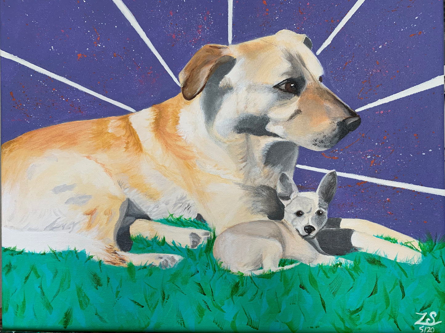 Pet Portrait Paintings
