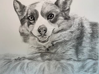 Pet Portrait Paintings