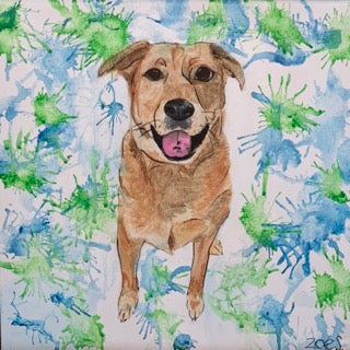 Pet Portrait Paintings