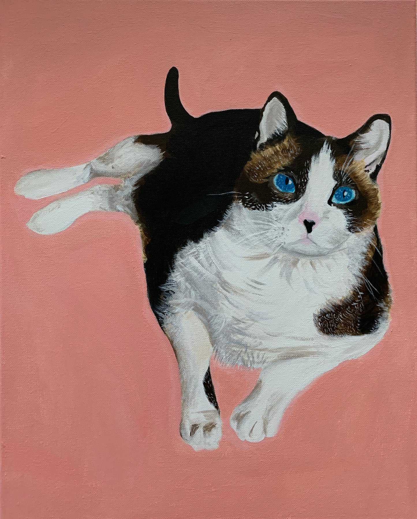 Pet Portrait Paintings