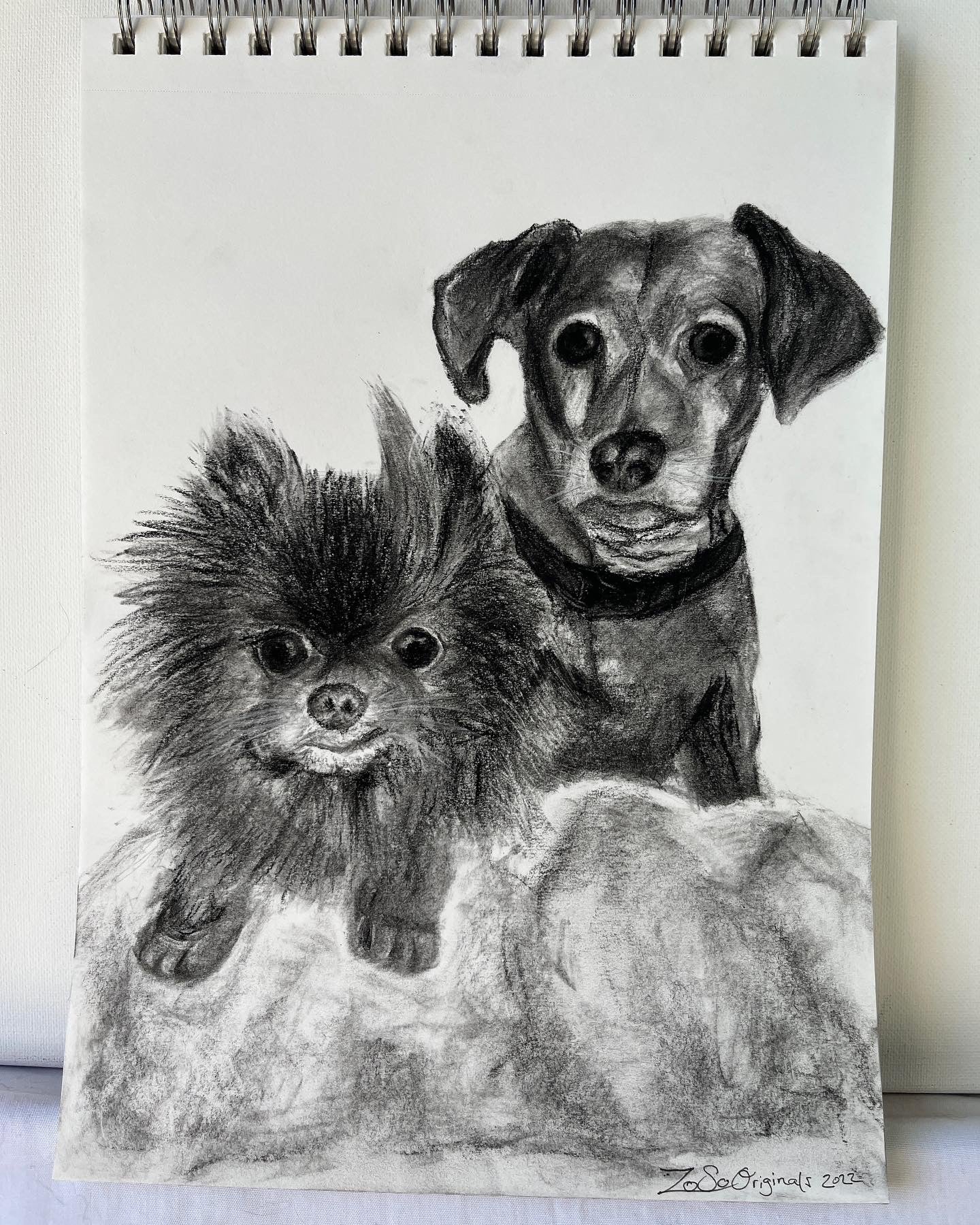 2 dogs posing in charcoal drawling