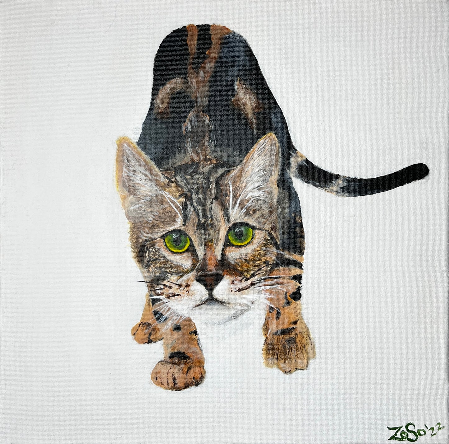 Pet Portrait Paintings