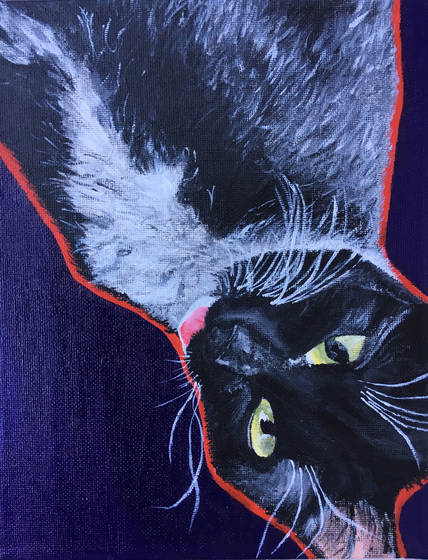 Pet Portrait Paintings