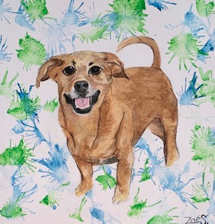 Pet Portrait Paintings