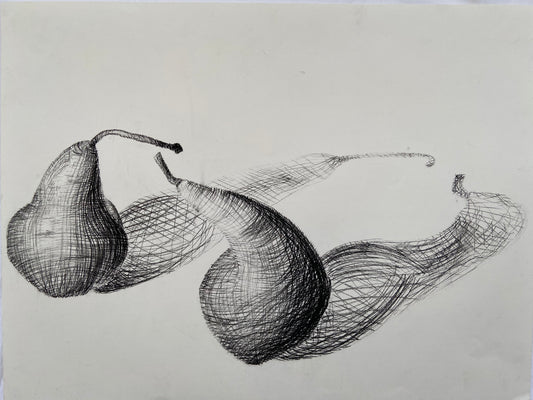 This still life of 2 pears cross-hatched with charcoal is on 18x24" paper